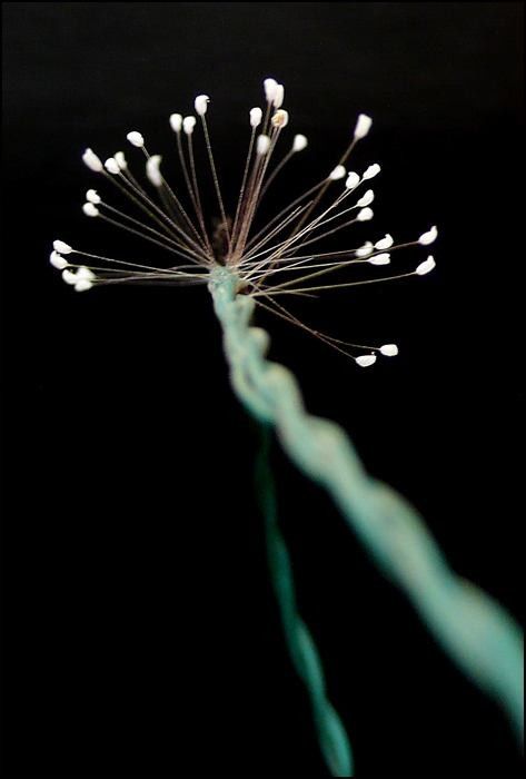 1556199985360035.jpg image040.jpg