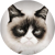 1566391192317756.png Garylala.png