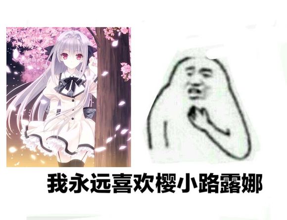 1566993057389603.jpg 20eea5f2b2119313197814fb6b380cd790238df4.jpg