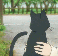 1567004768854865.gif