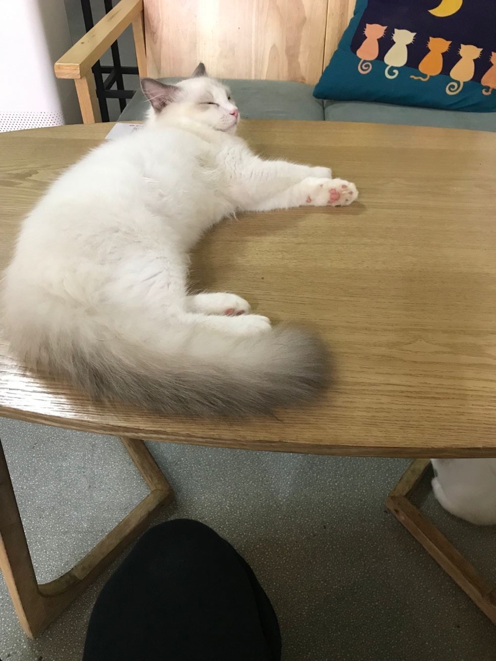1567606126458640.jpg QQ图片20190904220725.jpg