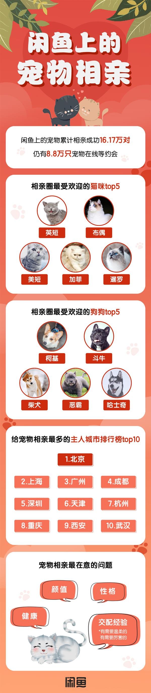 1571618009225481.jpg 宠物相亲.jpg