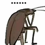 640.webp