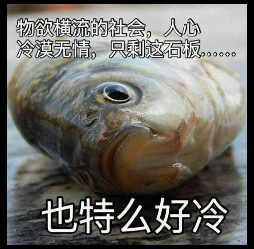 3e6a8b2445c0a091.jpg