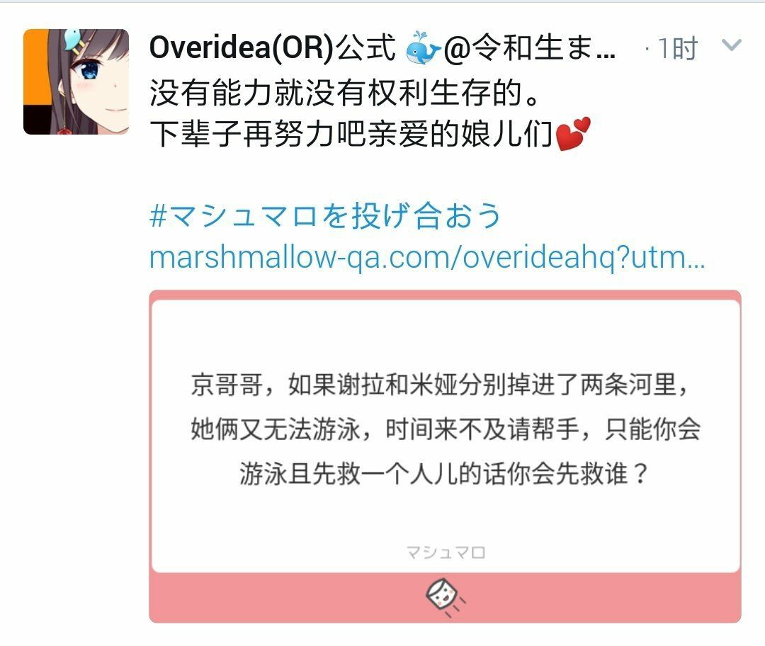 -6ab92efe02236cdc.jpg