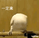 QQ图片20180928212209.gif
