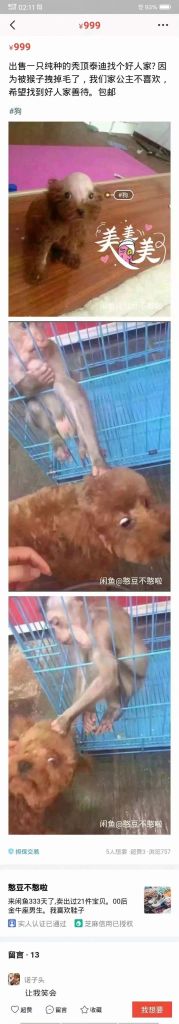 QQ图片20190510145728.jpg