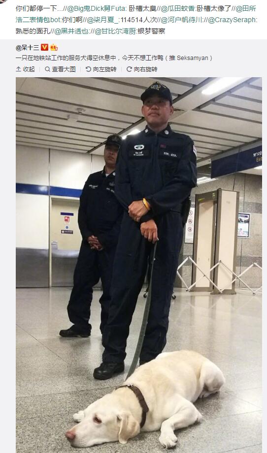QQ图片20190529194418.jpg