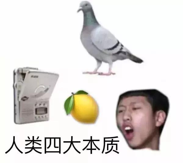 总图.jpg