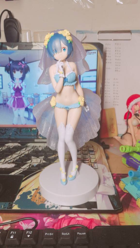 雷姆花嫁.jpg
