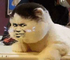 QQ图片20190621220906.gif