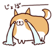 QQ图片20190402191748.png