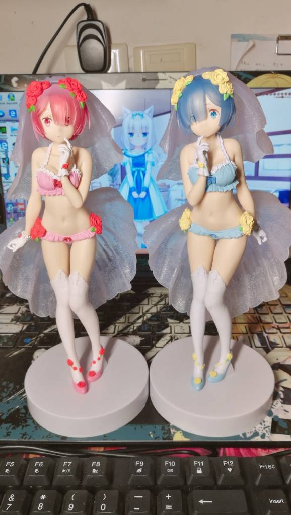 拉姆雷姆花嫁.jpg