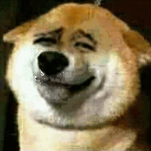 QQ图片20190618201243.gif