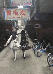 3f9d49f5c6dac942.gif