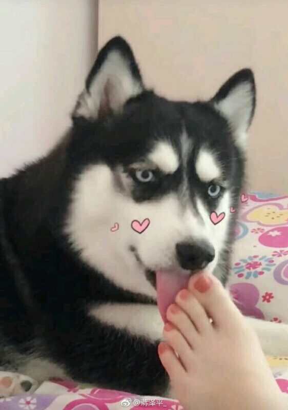 QQ图片20190704193512.jpg