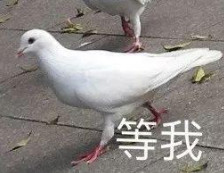 1545822323974353.jpg