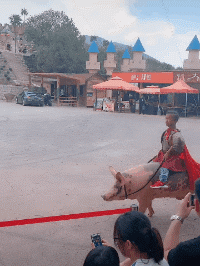 1563088502197_94311deb0235449f9d347cdb41aac3ae.gif