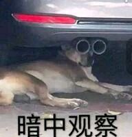 QQ图片20190715185227.jpg