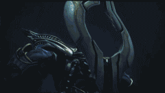 baQ5-1k8yXbZ32T1kS6o-3r.gif