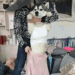 d454cdcd7b899e516c0166cd4ca7d933ca950d8e.jpg