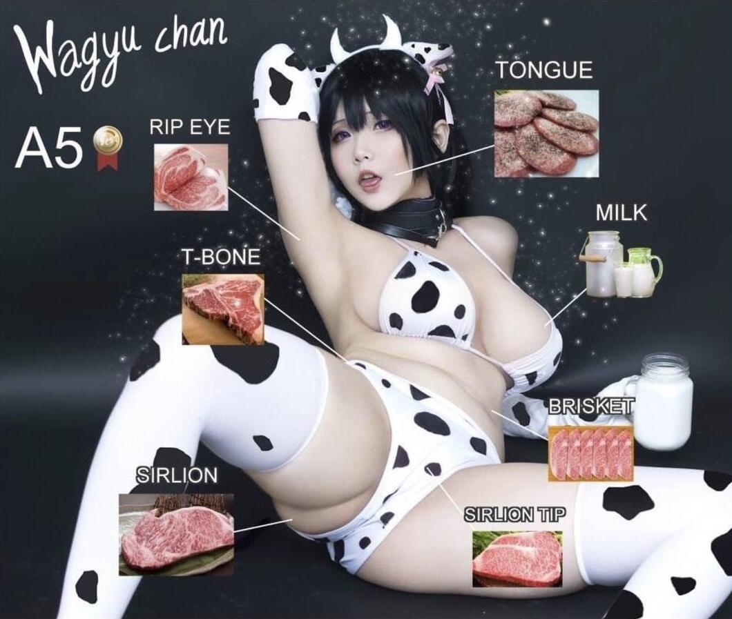 QQ图片20190817004740.jpg