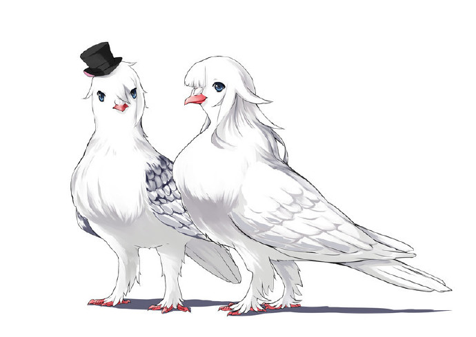 bfb2ec1egy1fv6d9pcqyej20nm0gqjsu.jpg