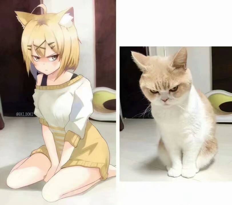-4e63f96f20ffcf12.jpg