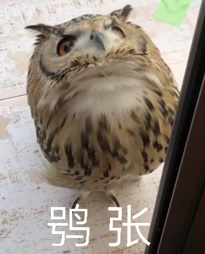 QQ图片20190826072137.jpg
