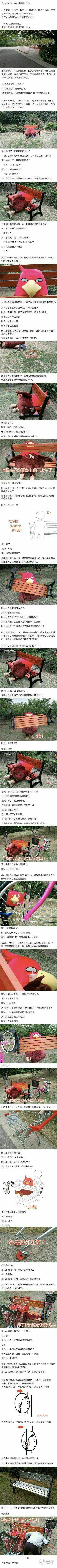 803195475.jpeg