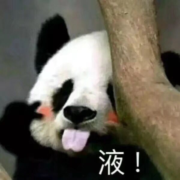 QQ图片20190820223935.jpg