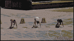 4a82296d7558bc1538c107c97c4329be.gif