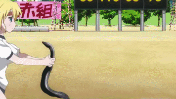 -252fa3ea58b300ee.gif