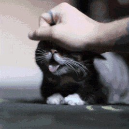 QQ图片20191202170016.gif