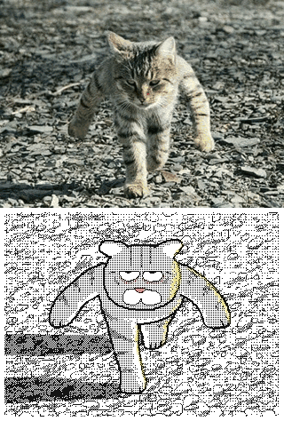1576364841048.gif