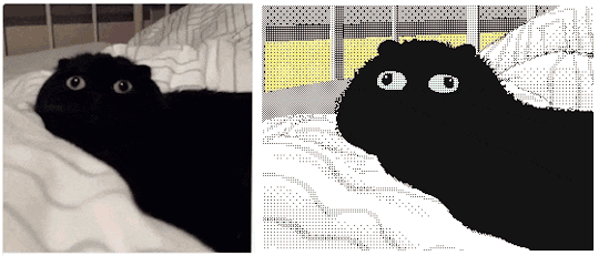1576364852213.gif