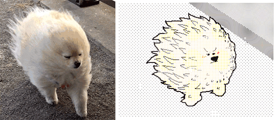 1576364869521.gif