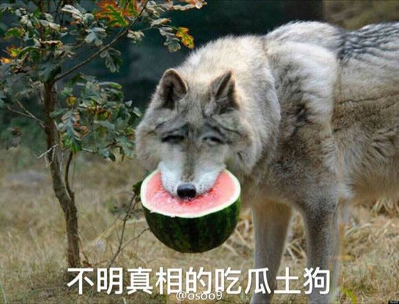 1576584872638651.jpg a7d511eef01f3a29a19cb2b39025bc315d607cfc.jpg