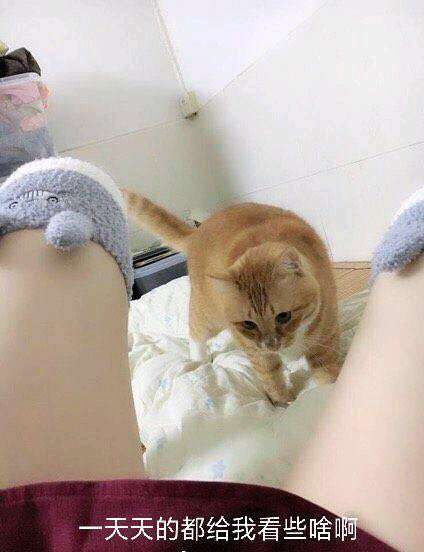 QQ图片20191224212619.jpg