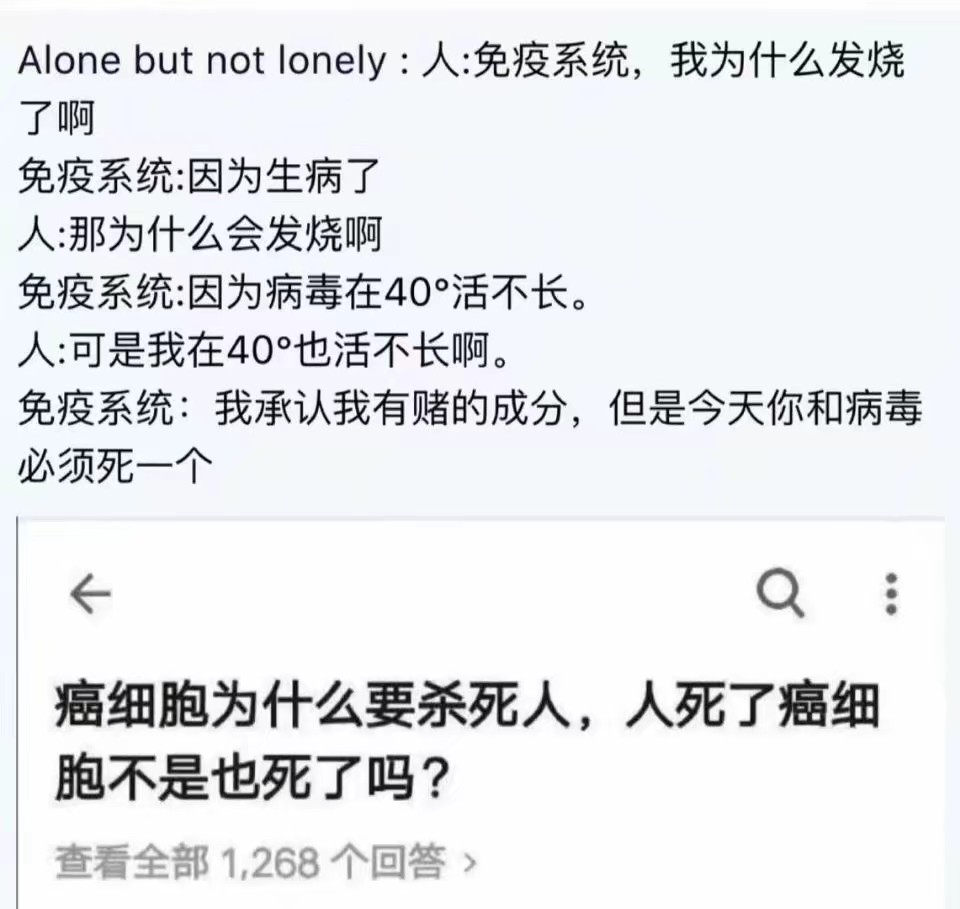1577598460820.jpeg
