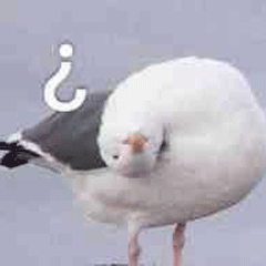 22-59-06-1577942286902950.png