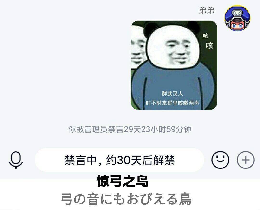 -774e87d73531c36f.jpg