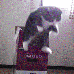 -720df669015d60a6.gif