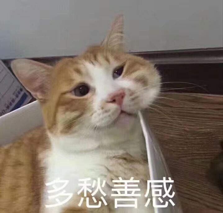 c8b13567c414d76.jpg