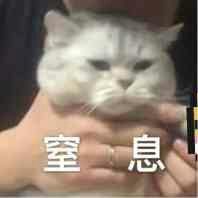 -314877f2f40abe3c.jpg
