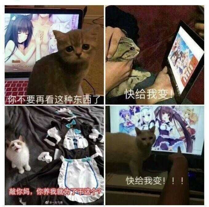 53d892594d6dd89.jpg