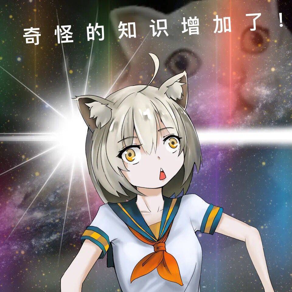 747c9e8a2c5dd8e7.jpg