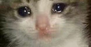 IMG_20200216_223148.jpg