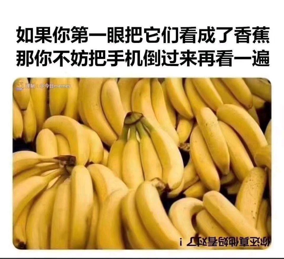 64CFA3566E048E8C68AFD1EFA27BAE79.jpg