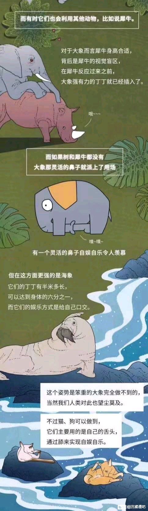 6CE5C32FD717DC8507E64003ABE6236A.jpg